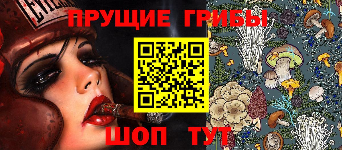 Псилоцибиновые грибы GOLDEN TEACHER Шадринск
