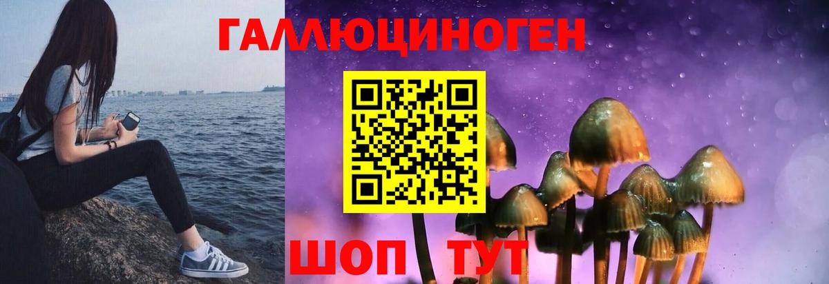 Галлюциногенные грибы Psilocybine cubensis  что такое наркотик  Шадринск  Галлюциногенные грибы GOLDEN TEACHER  Вход с VPN 