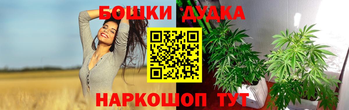 Конопля марихуана Шадринск